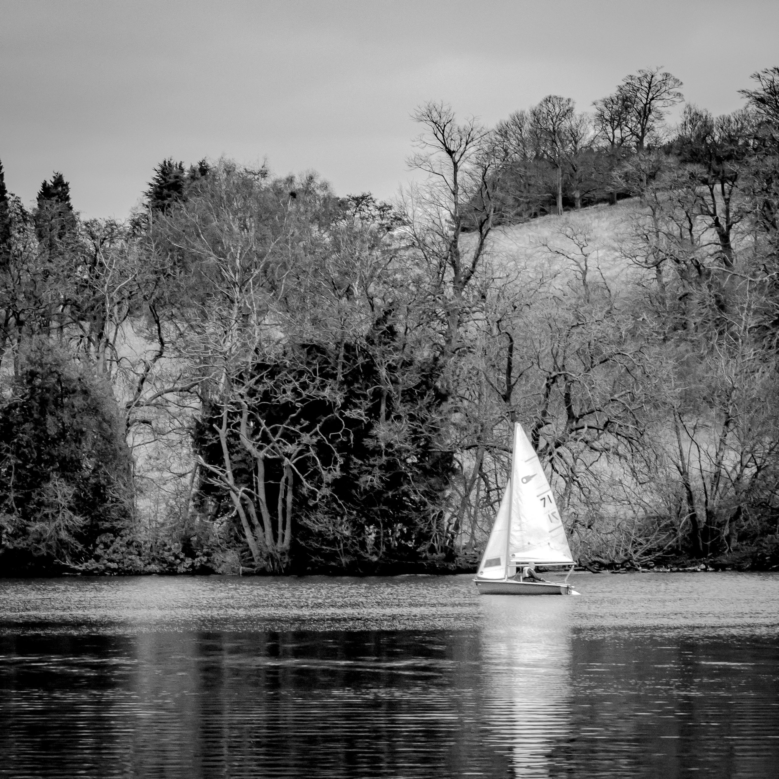White Sailing Boat